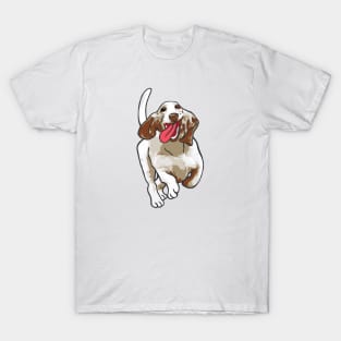 Basset Hound Dog T-Shirt